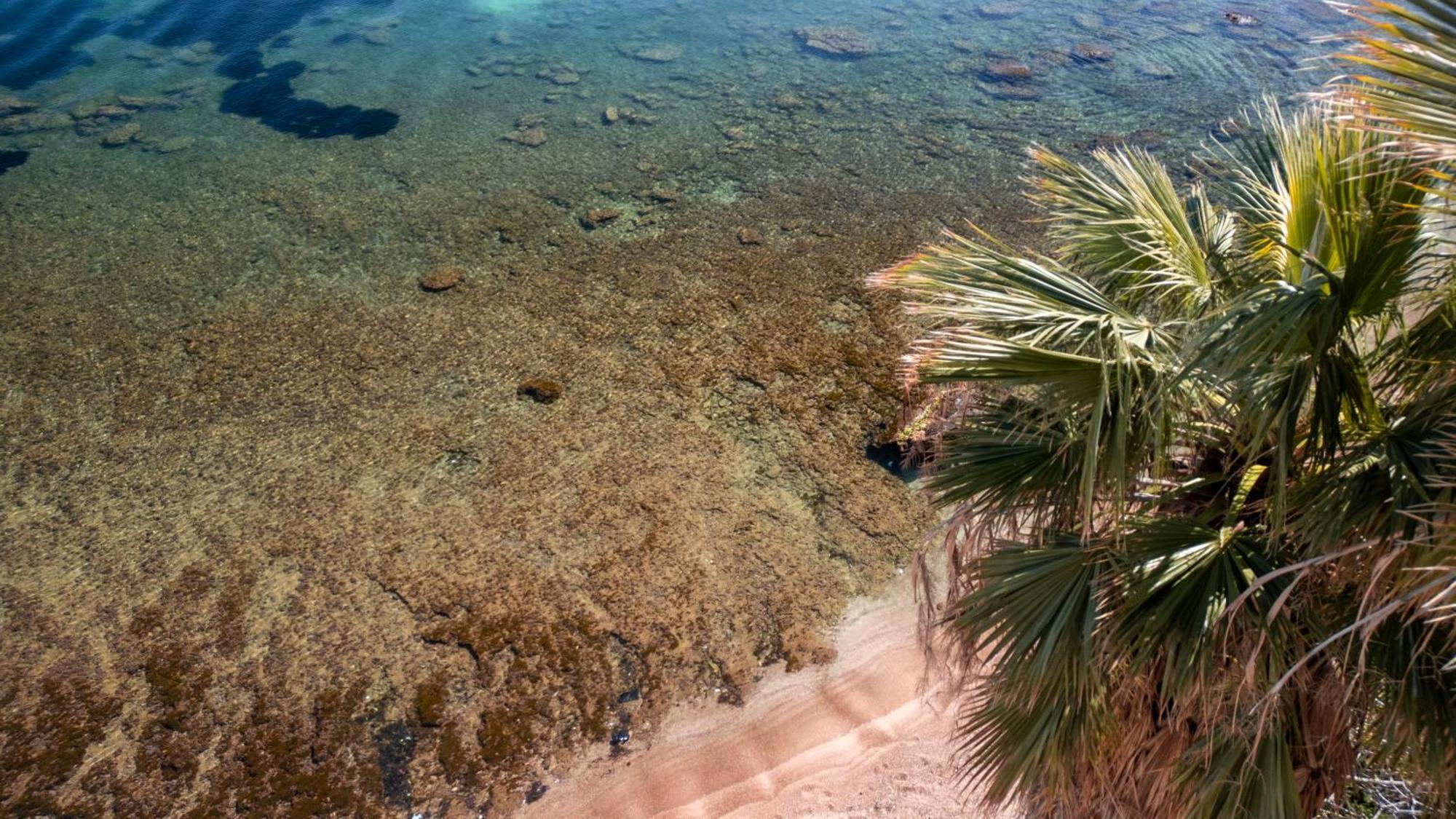 La Casetta Sul Mare Castellammare del Golfo Esterno foto